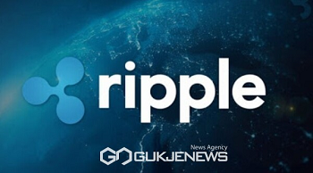 리플 시세 분석 최신 동향과 전망