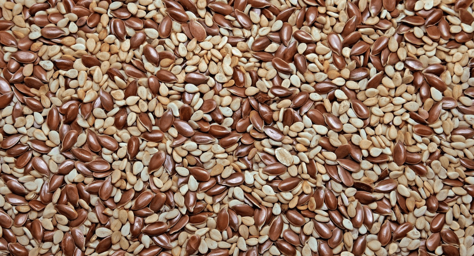 식이섬유가 많은 음식 - 10133