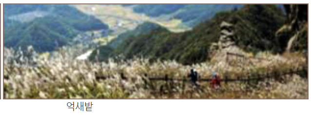 월출산 등산코스