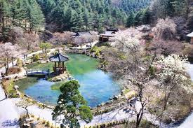 κ°ν μμΉ¨κ³ μμλͺ©μ