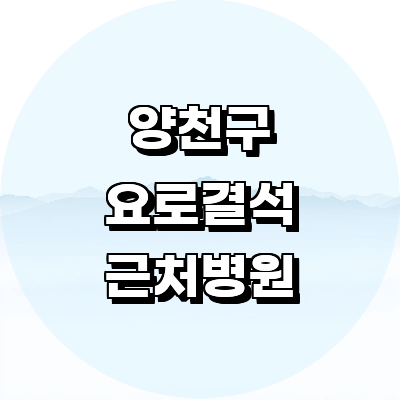 서울 양천구 요로결석 병원