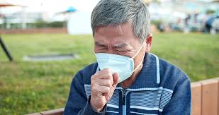 A형 독감, B형 독감