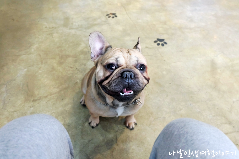 &ldquo;경기도겨울축제_02&rdquo;data-filename=