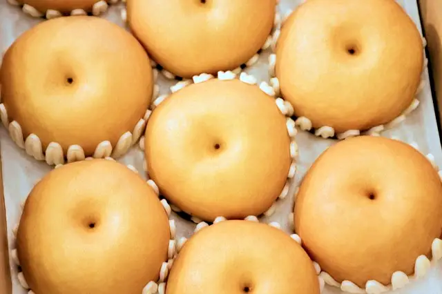 전남 나주 달콤한 과일 배 파는 곳 전국 택배 온라인 전화 주문 추천