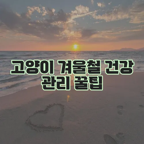 고양이 겨울철 건강 관리 꿀팁, 꼭 확인하세요!