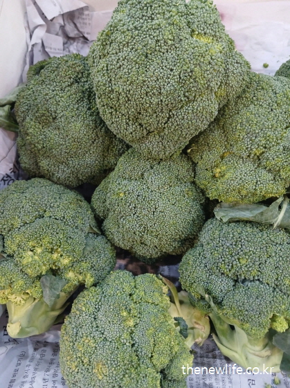 브로콜리는 칼륨과 비타민C가 풍부해 소금을 많이 먹으면 체내 나트륨 배출을 돕고 소금 부작용을 예방하는 데 효과적입니다.