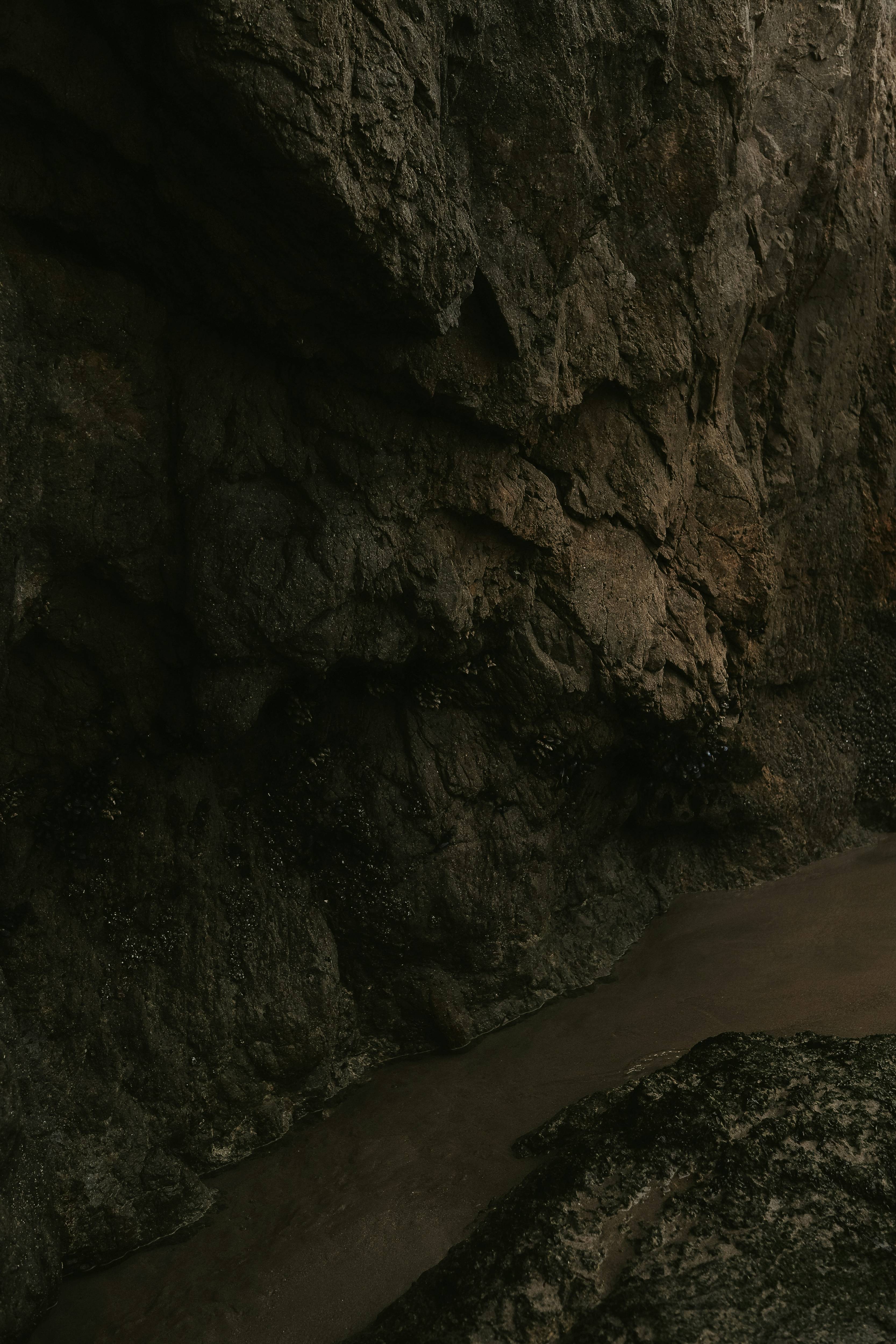 홍합 바다 이미지