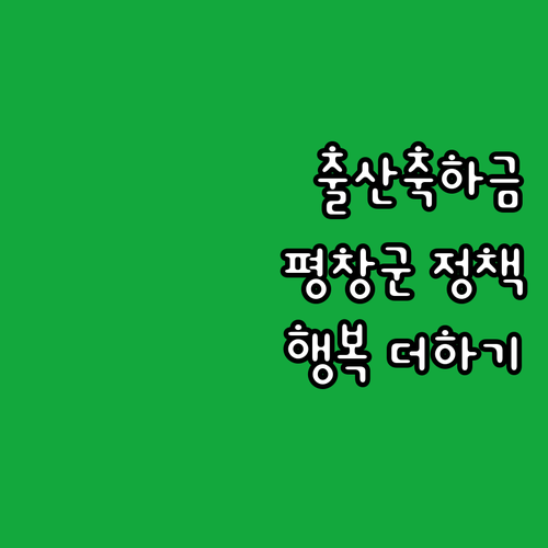 2025 평창군 출산 장려 정책: 출..