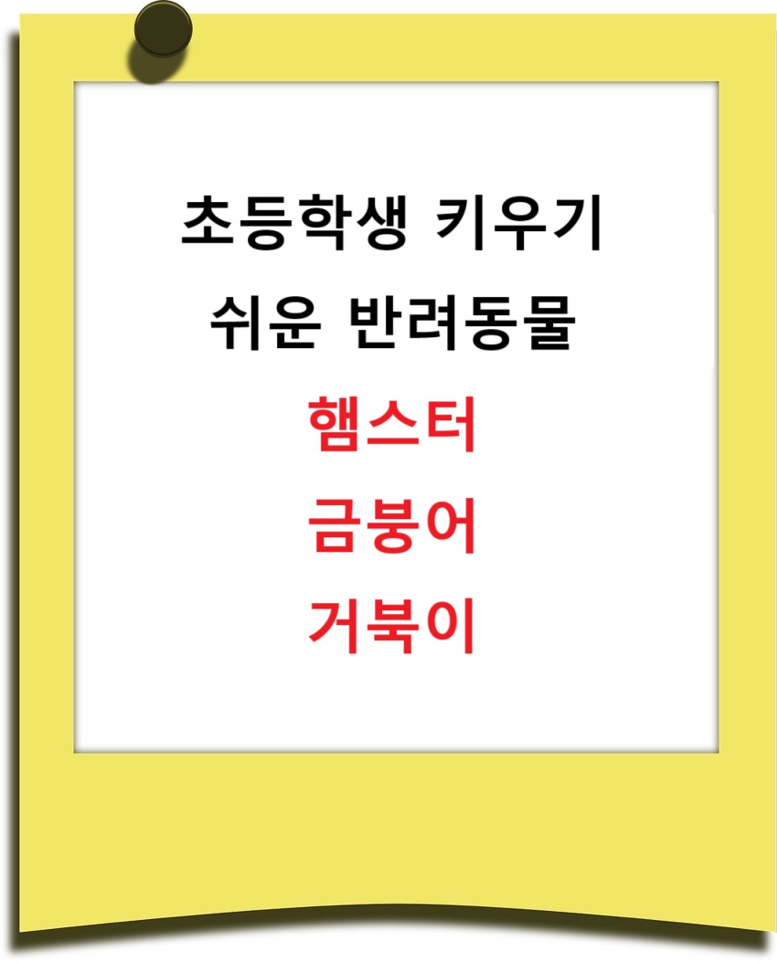 초등학생 반려동물 햄스터, 금붕어, 거북이
