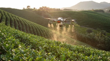 스마트 농업: 수직 농장과 자동화 기술로 혁신하는 농업 시장