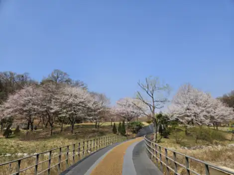 북서울꿈의숲입구