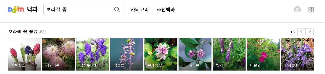 정원에 핀 보라색 붓꽃과 제비꽃 이미지