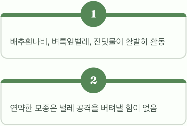 벌레들의 신나는 파티가 열리는 이유