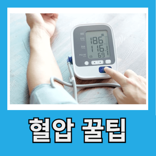혈압유지 꿀팁