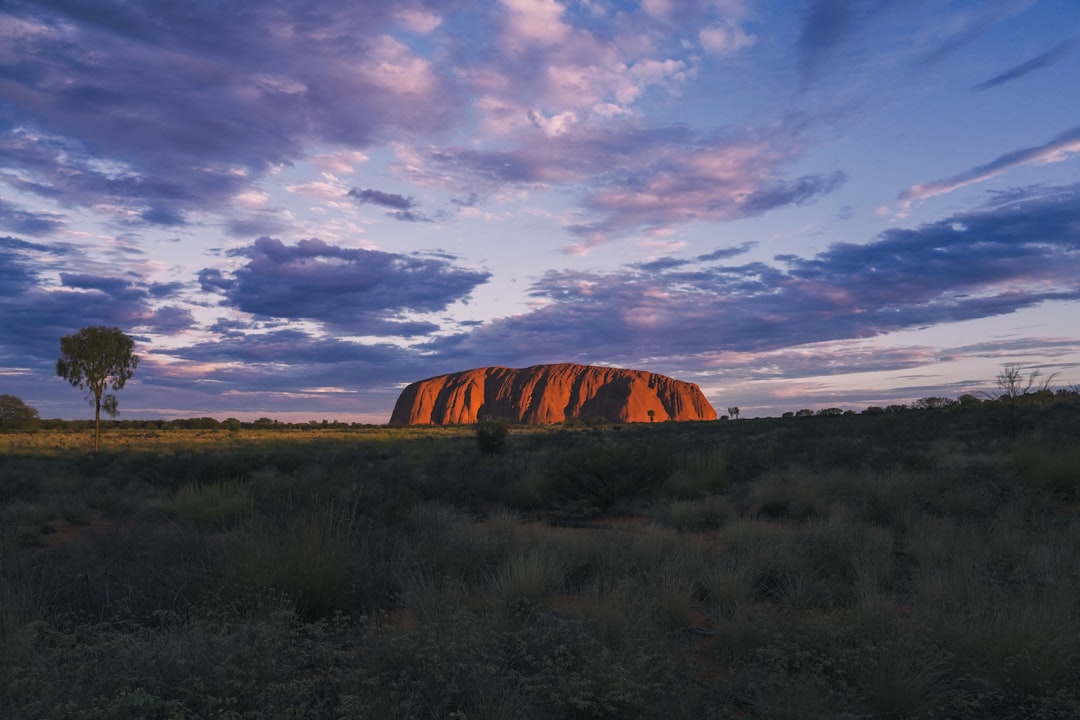 'Outback'