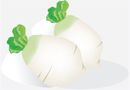 폐섬유증 초기증상과 폐에 좋은 음식10