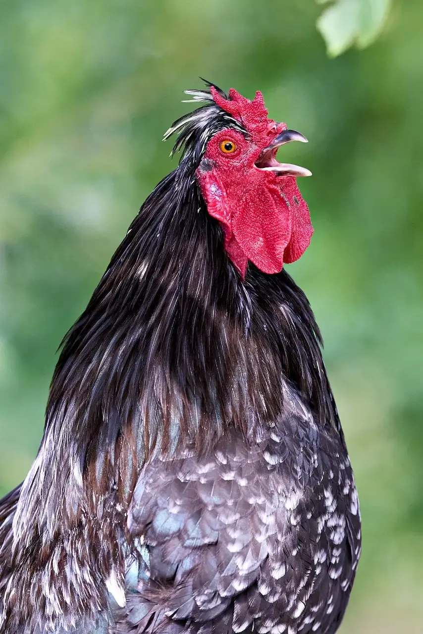 조용한 공간이 필요한 사람들 HSP의 뇌가 다른 이유