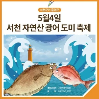 서천 광어 도미 축제에서 제철 맛 체험 완벽 여행 가이드_13