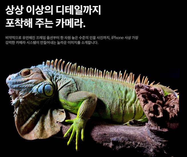 아이폰 15 스펙 및 출시 총정리