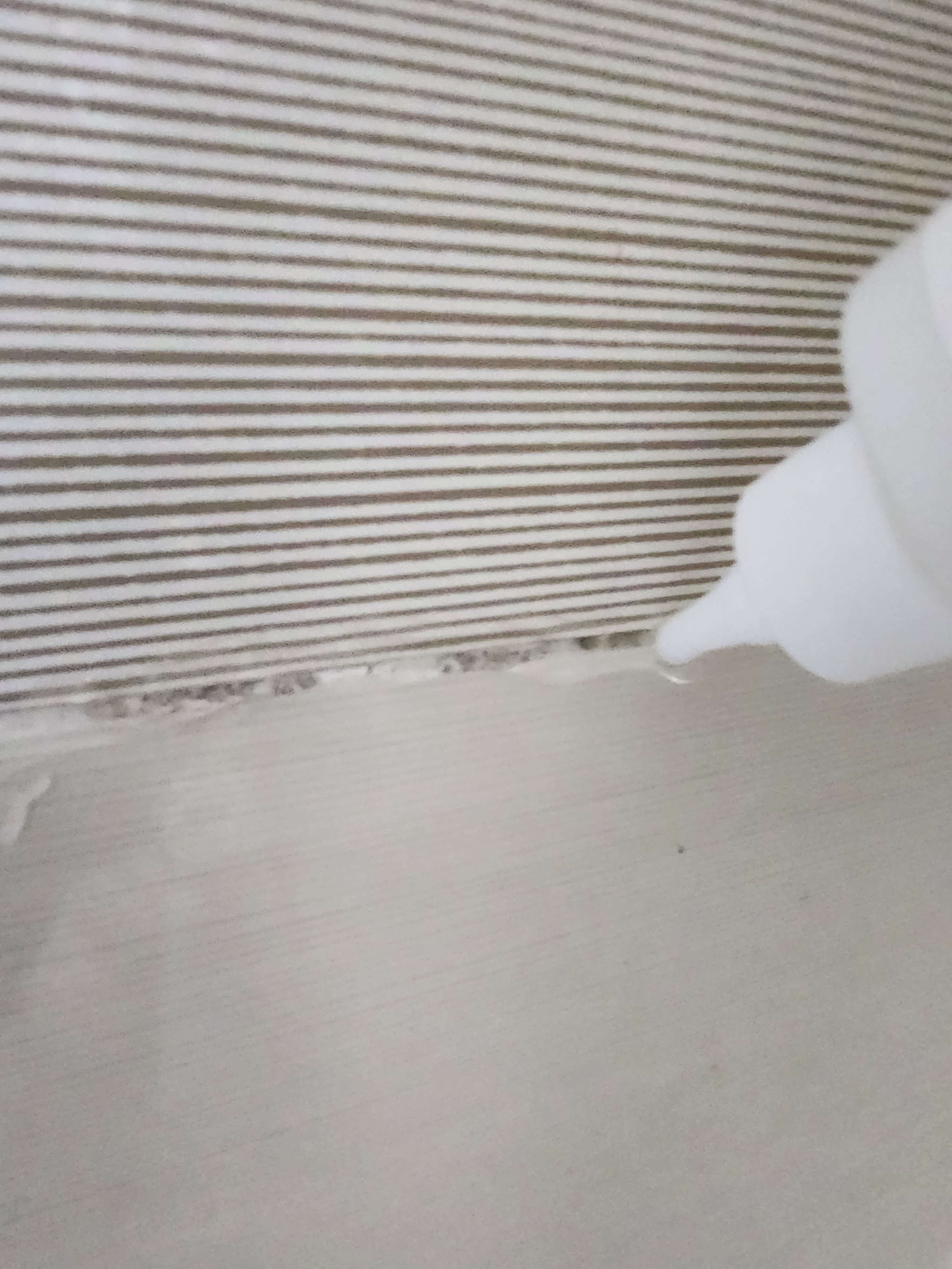 곰팡이제거젤추천