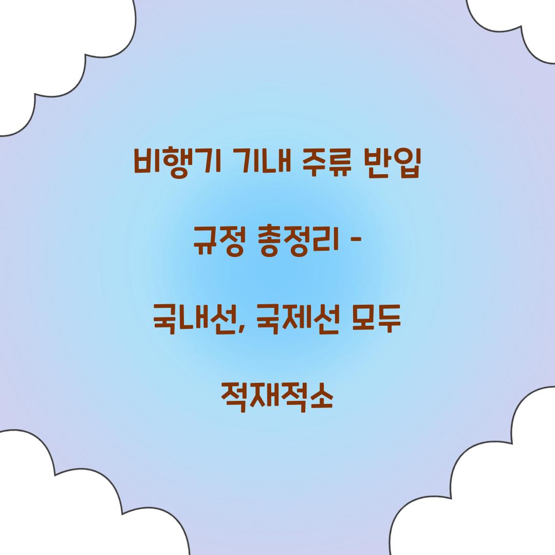 비행기 기내 주류 반입