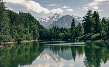 감자 수확시기 타이밍과 방법 16