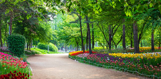 서울숲 (서울)