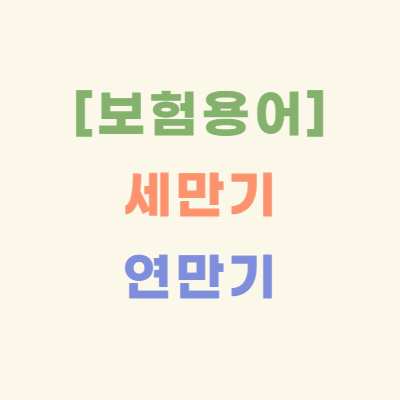 보험-용어-바로-알기- 세만기-vs-연만기