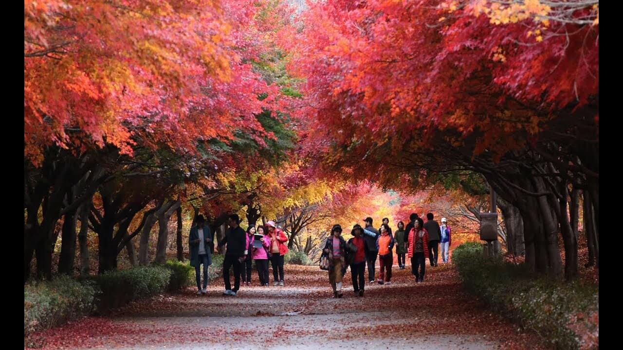 가을 단풍여행 꼭 가볼한 곳 베스트 5 여기는 꼭 가보세요!