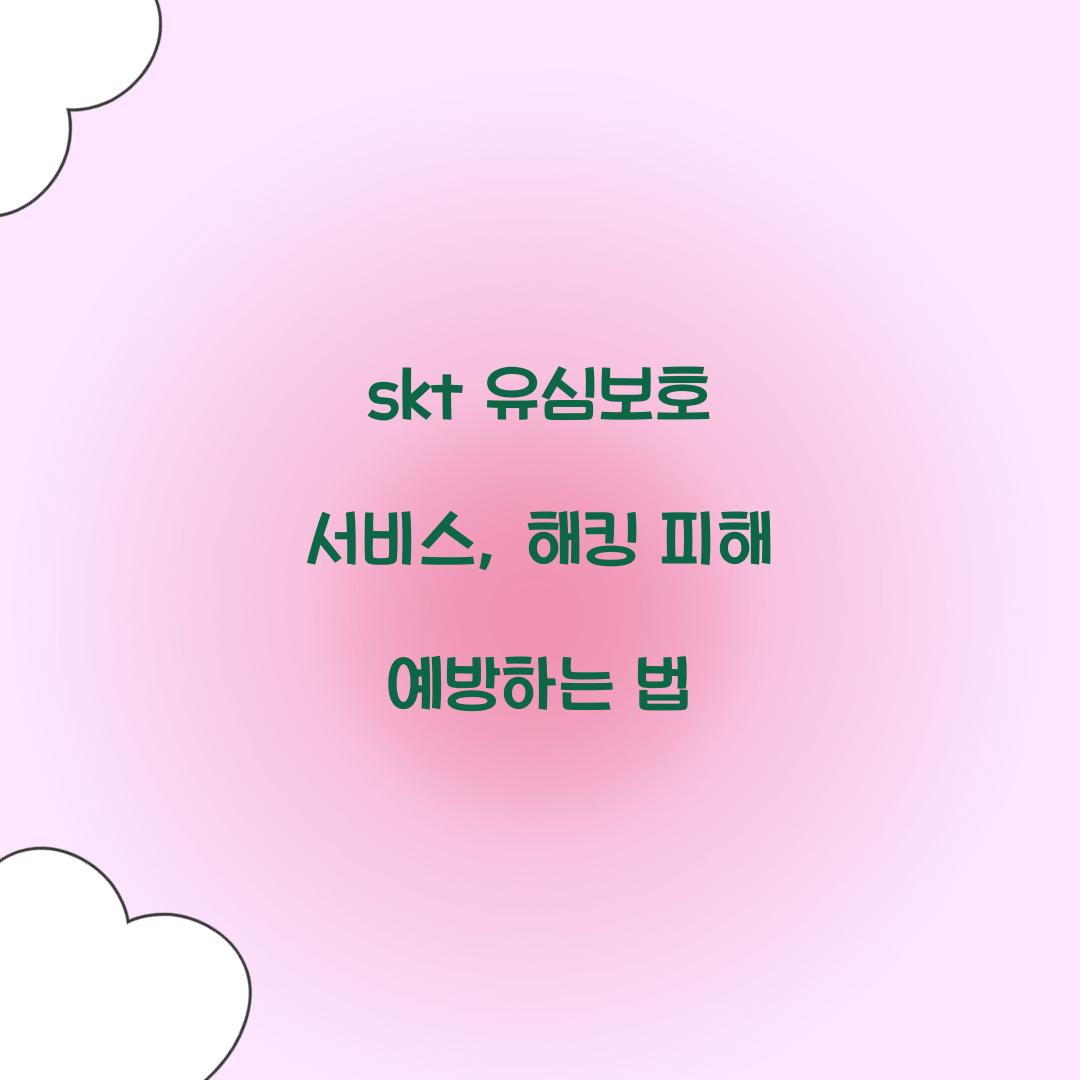 skt 유심보호 서비스