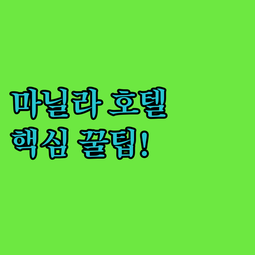 마닐라 인기 호텔 5종 비교 분석 공..