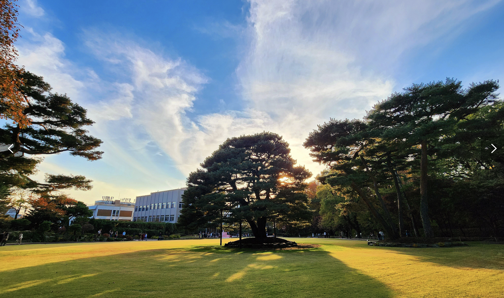 2025 청와대 밤마실, 6일간의 특별한 개방 봄밤 특별한 산책 예약 시작