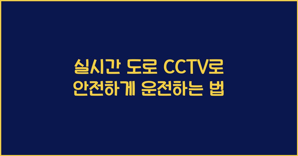 실시간 도로 cctv