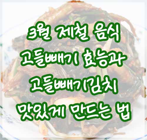 3월 제철 음식 : 고들빼기 효능과 고들빼기김치 맛있게 만드는 법