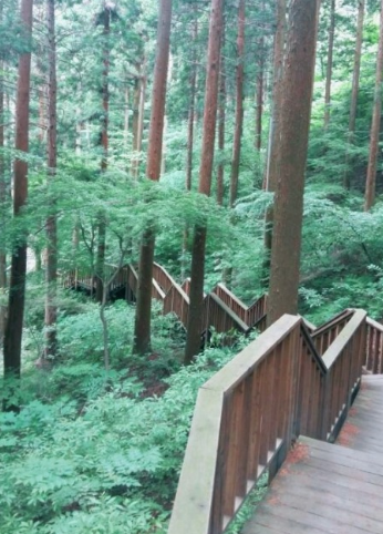 '100억송이' 가을꽃