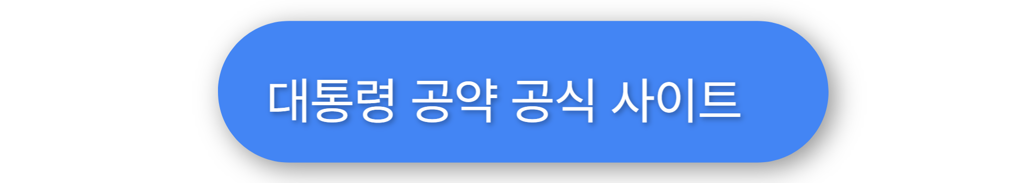 경제공약 버튼이미지