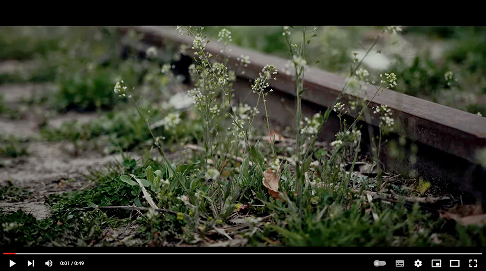 정홍일(JeongHongIl)의 '동행'