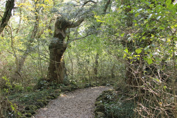 DWC 방식 수경재배 초보자 가이드