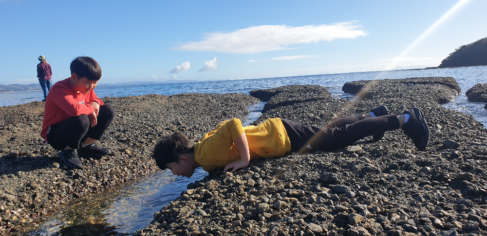 Goat Island Marine Reserve