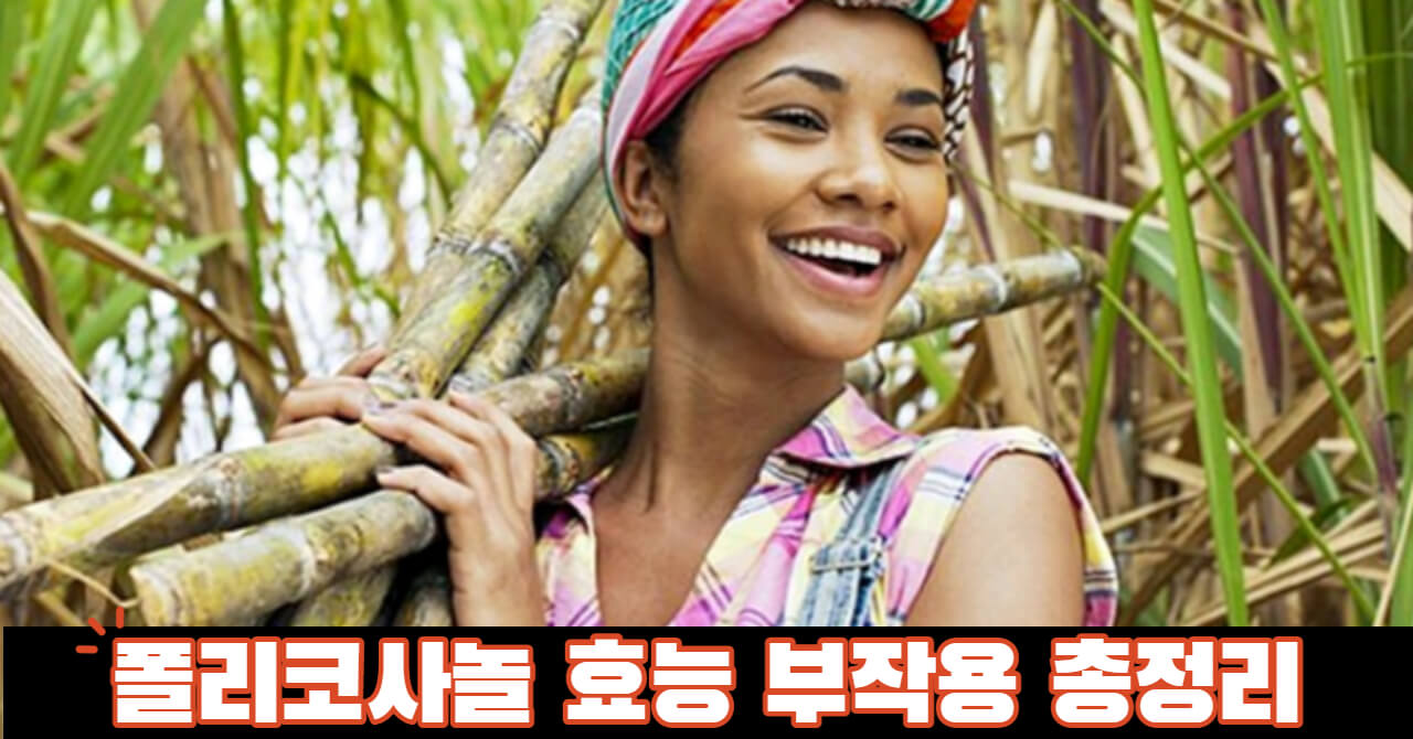 폴리코사놀 효능 부작용 총정리