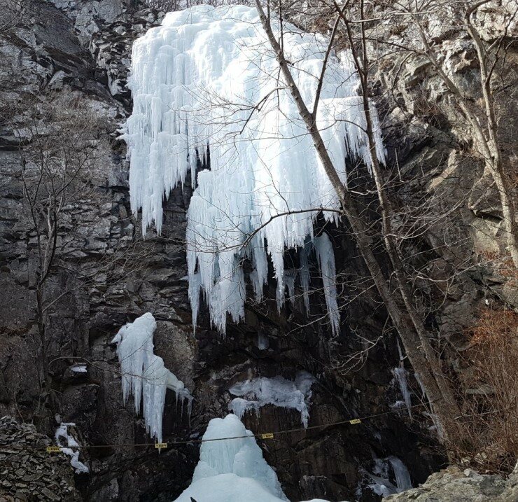 숲나들e-국립자연휴양림-성수기-추첨