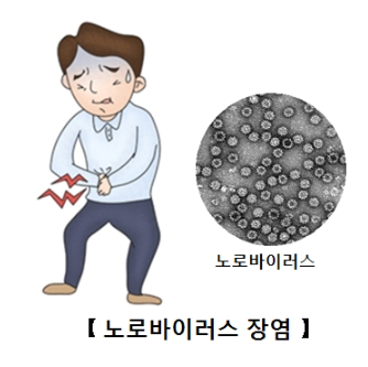 노로바이러스 증상과 예방법: 겨울철 필수 상식