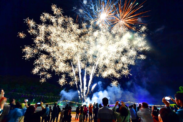 장성 황룡강 길동무 꽃길축제
