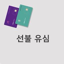 선불유심