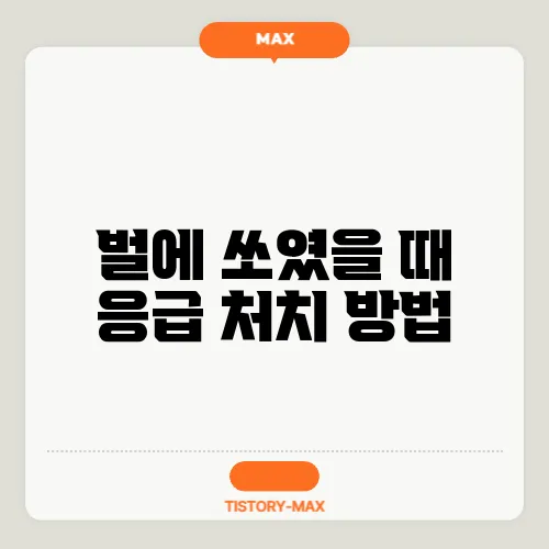 벌에 쏘였을 때 응급 처치 방법