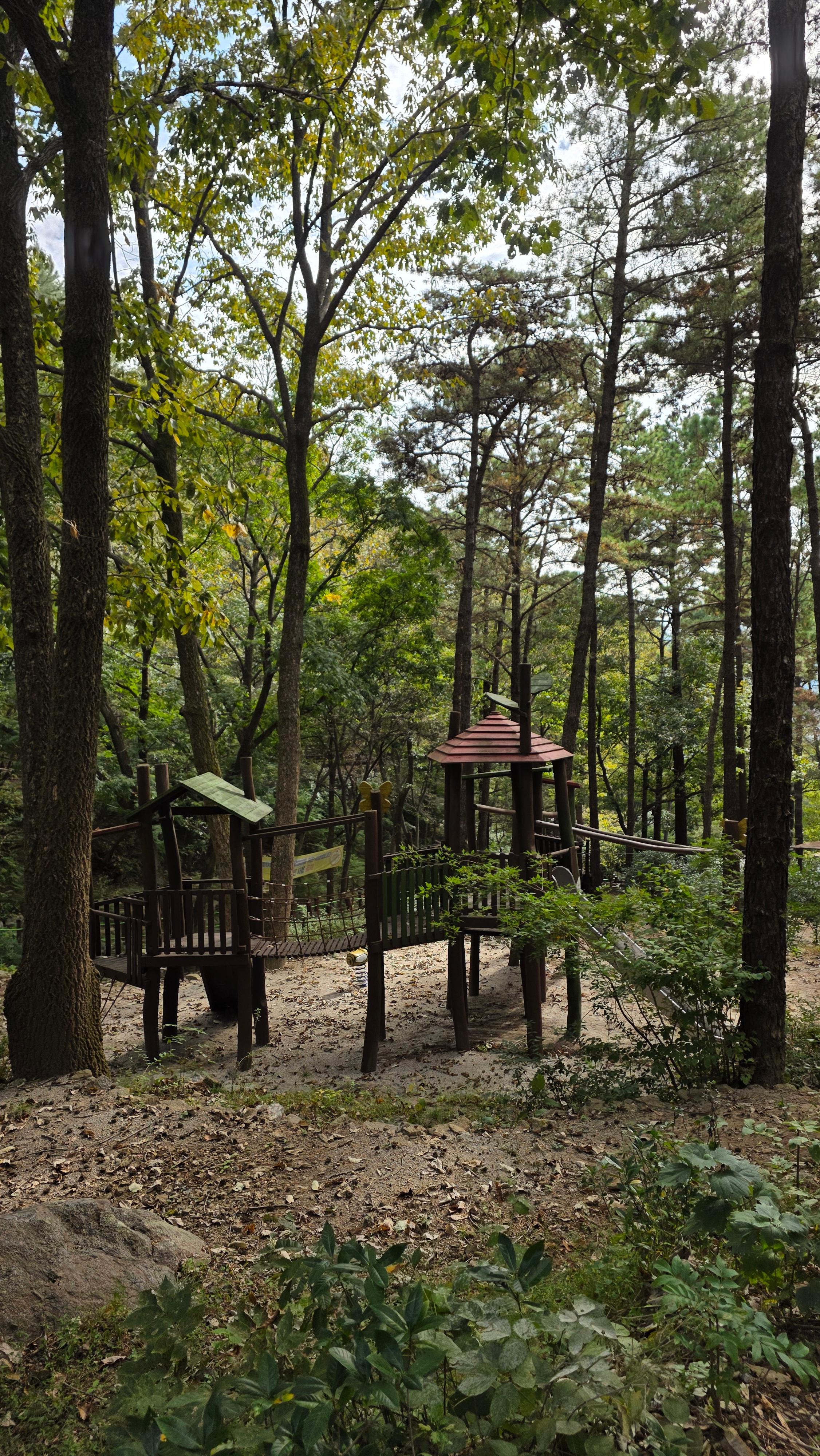 백운산 치유의 숲 추천! 힐링과 체험 예약 방법 정리