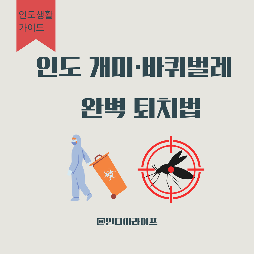 인도 개미&middot;바퀴벌레 완벽 퇴치법: 벵갈루루 7년 차가 검증한 현지 강력 약 추천