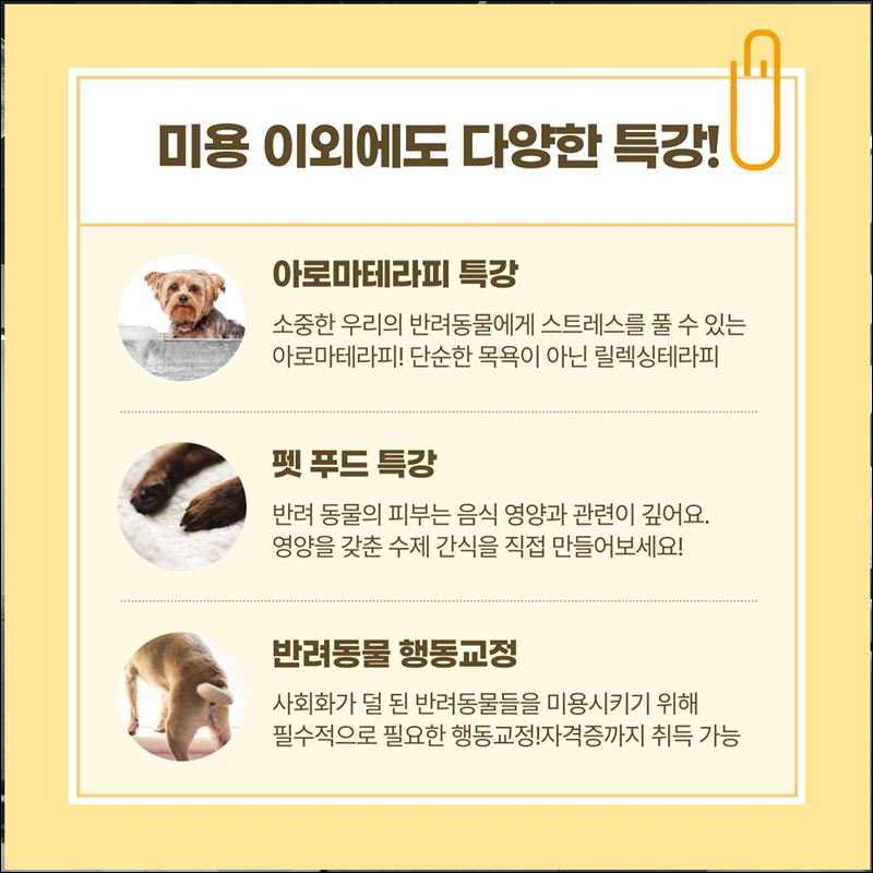 세종애견미용학원