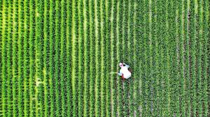 농지연금 수령액 계산 방법