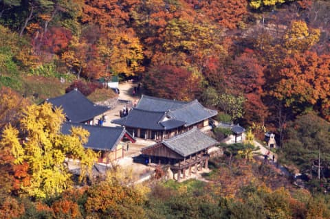 고려시대 기와와 조선시대 기와의 비교